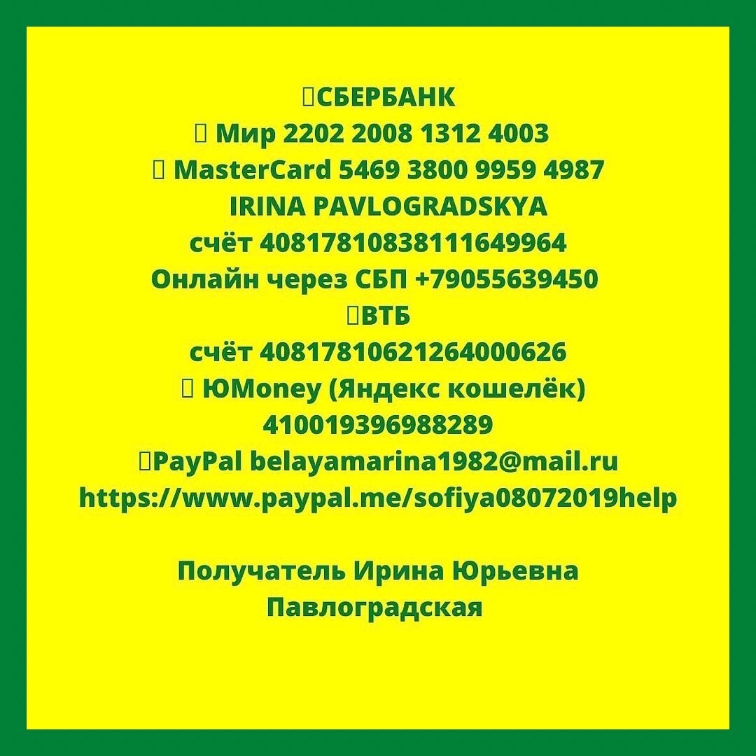 ПРАВДА ЖИЗНИ…ИЛИ У КАЖДОГО СВОИ ЗАКОНЫ… | Торопыжка София 26 недель | Дзен