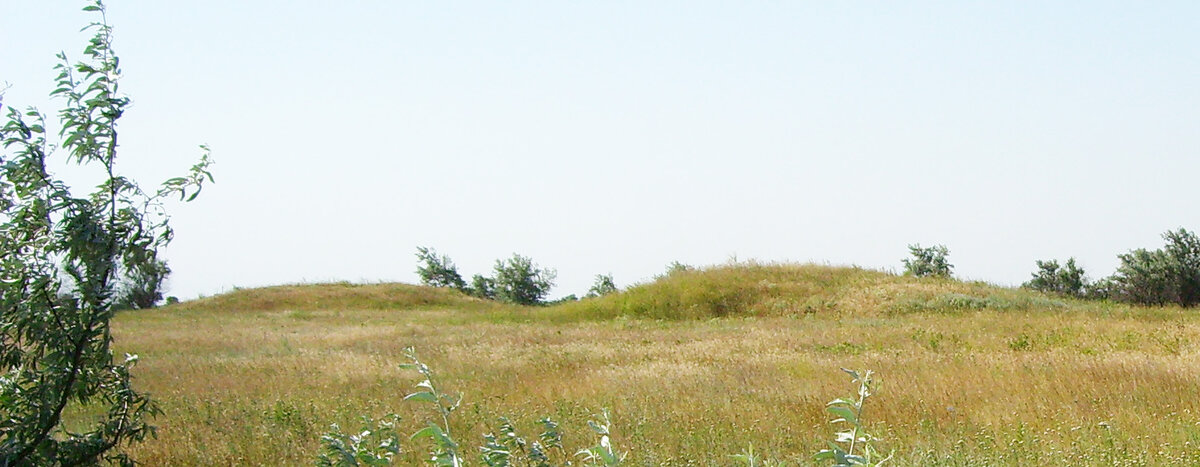 Скифский кургпн. Фото ЮФУ
