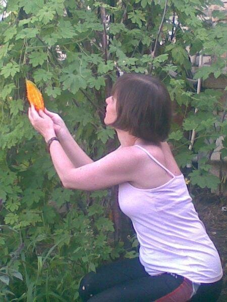 Моя первая встреча с момордикойФото: Мира Сим, личный архив