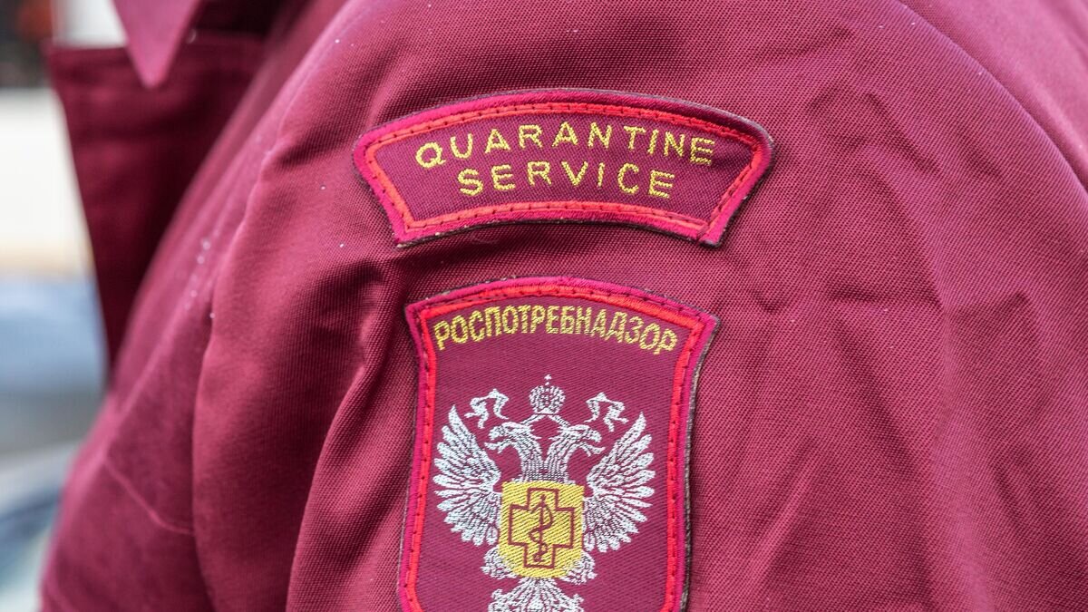    Роспотребнадзор© РИА Новости / Илья Тимин