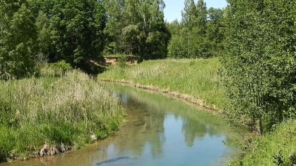 Река суринь в нижегородской области на карте Река Суринь, Нижегородская область (Xiaomi 12T + Snapseed) 2023 Мобильная фотогр