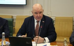    Фото: council.gov.ru Наталья Анисеева