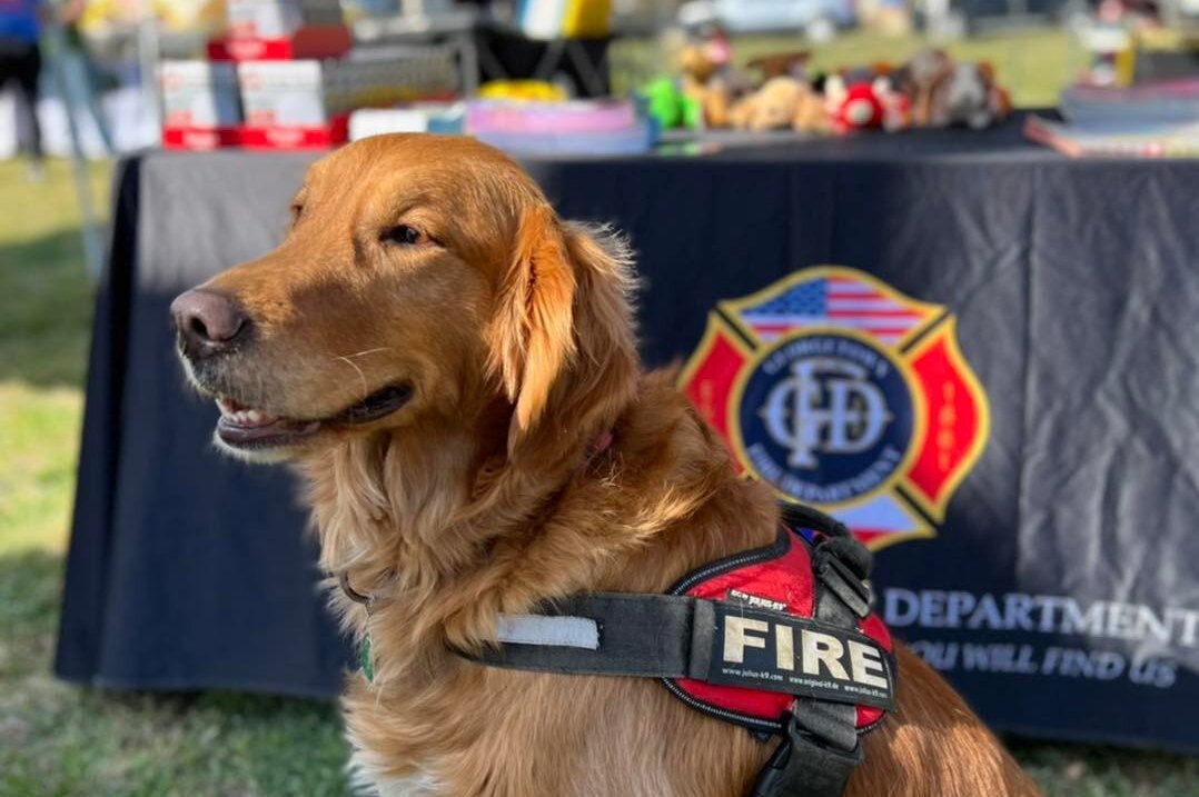     К-9 собака спасла своего хозяина, который не мог попасть в здание