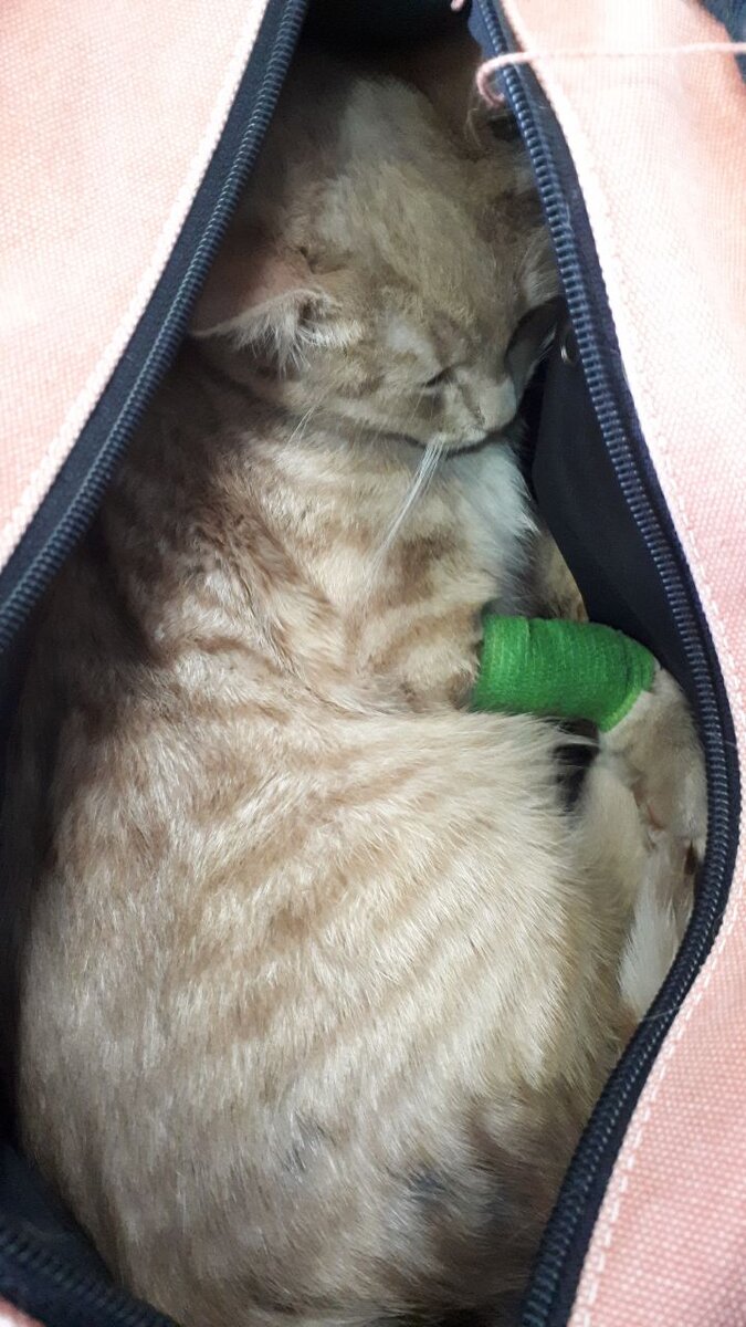 Чимин в отключке)))