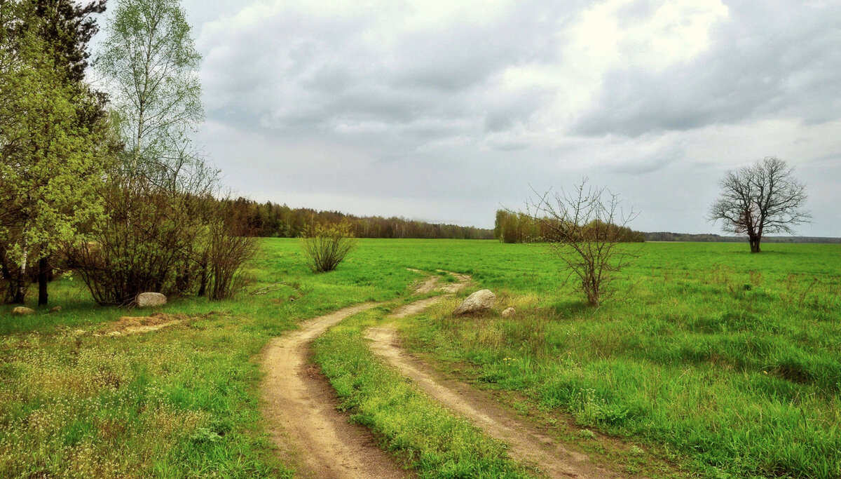 Яндекс картинки.