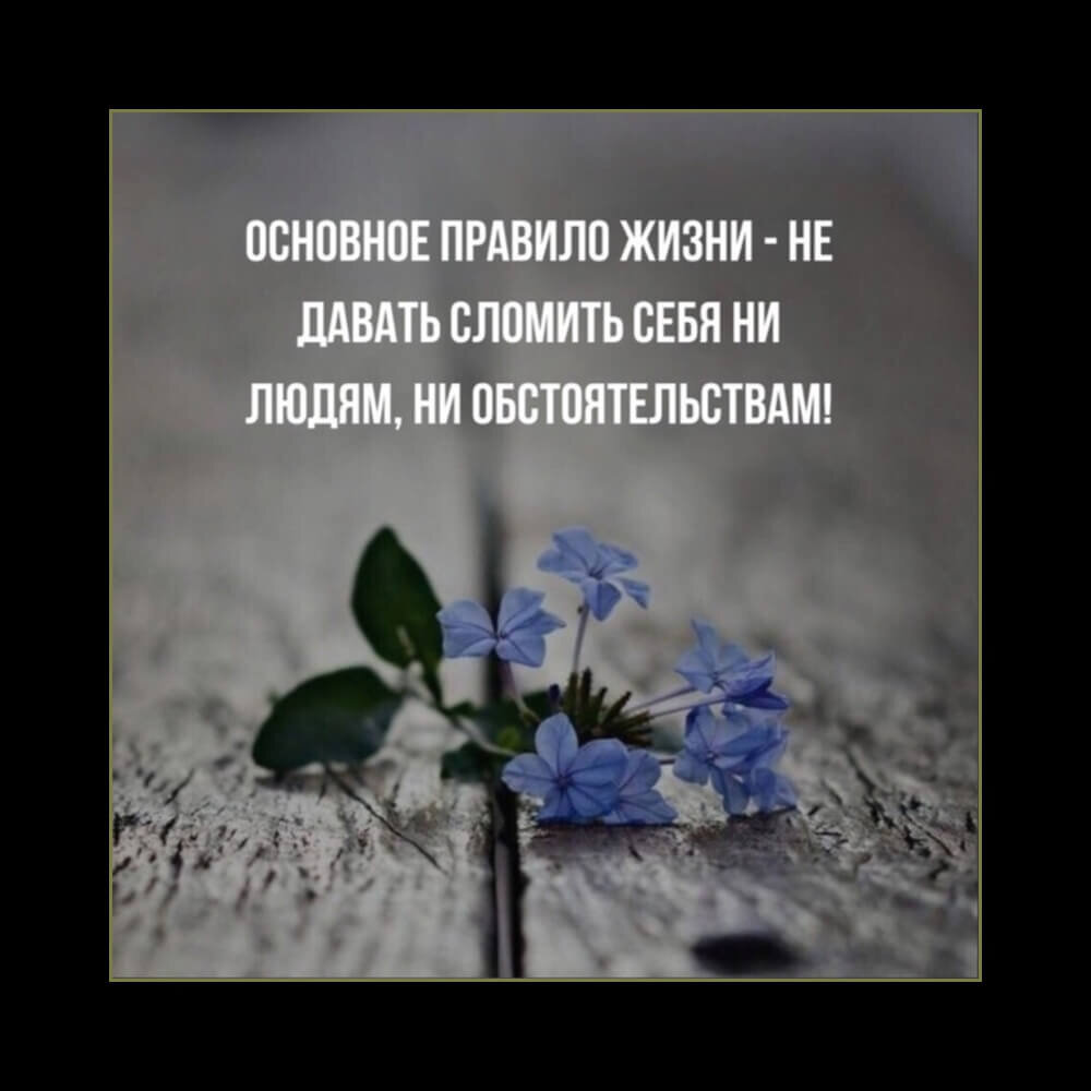 Жизнь в Гармонии с собой и окружающим миром | ღ︎Мудрые Мысли за чашкой  кофеღ︎ | Дзен