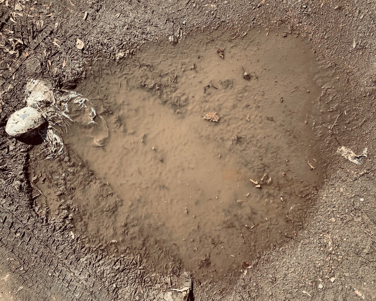 Мы так часто заглядываем в грязную лужу с надеждой разглядеть душу в глубине глаз. 