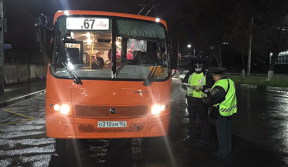 Фото предоставлено пресс-службой губернатора и правительства Нижегородской области