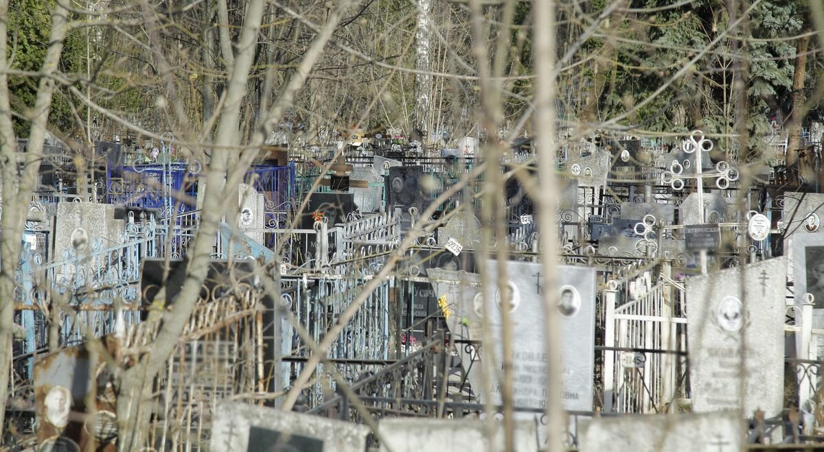 Фото: Андрей Абрамов