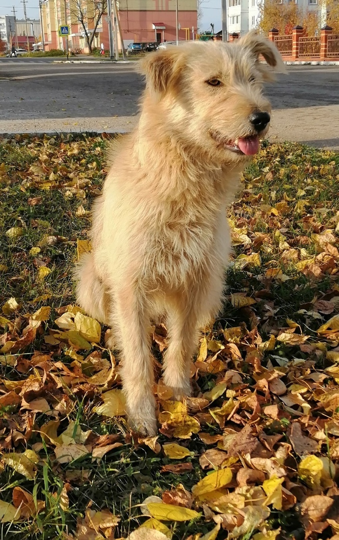 Пухля совсем недавно