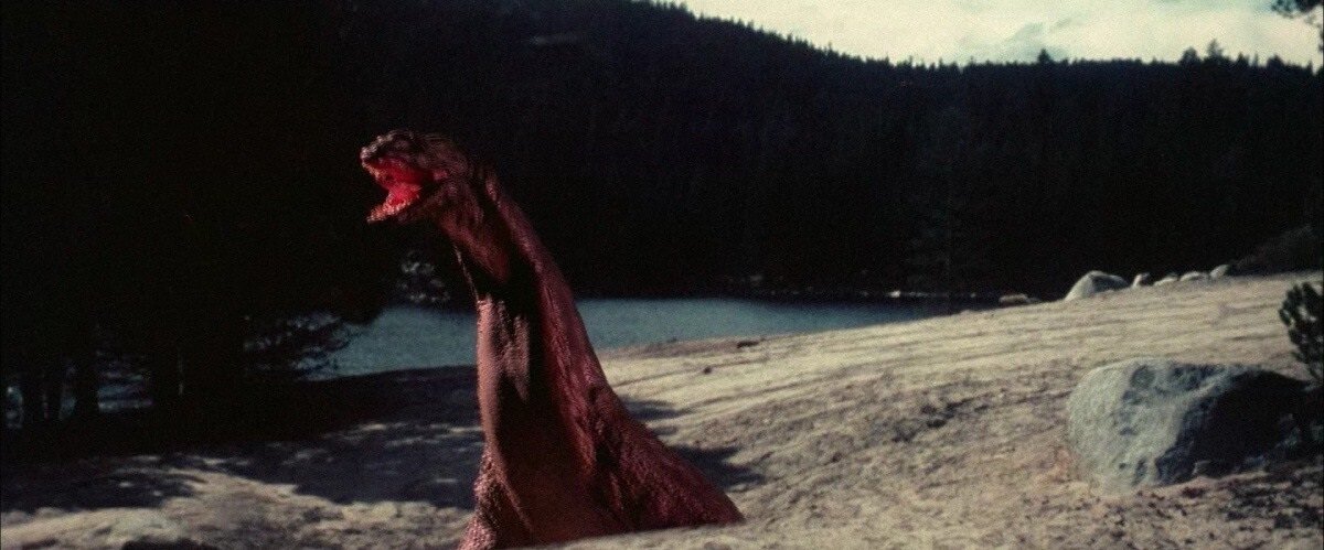 Фото из свободных источников.