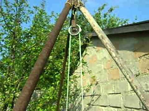 Фото из Яндекс Картинок