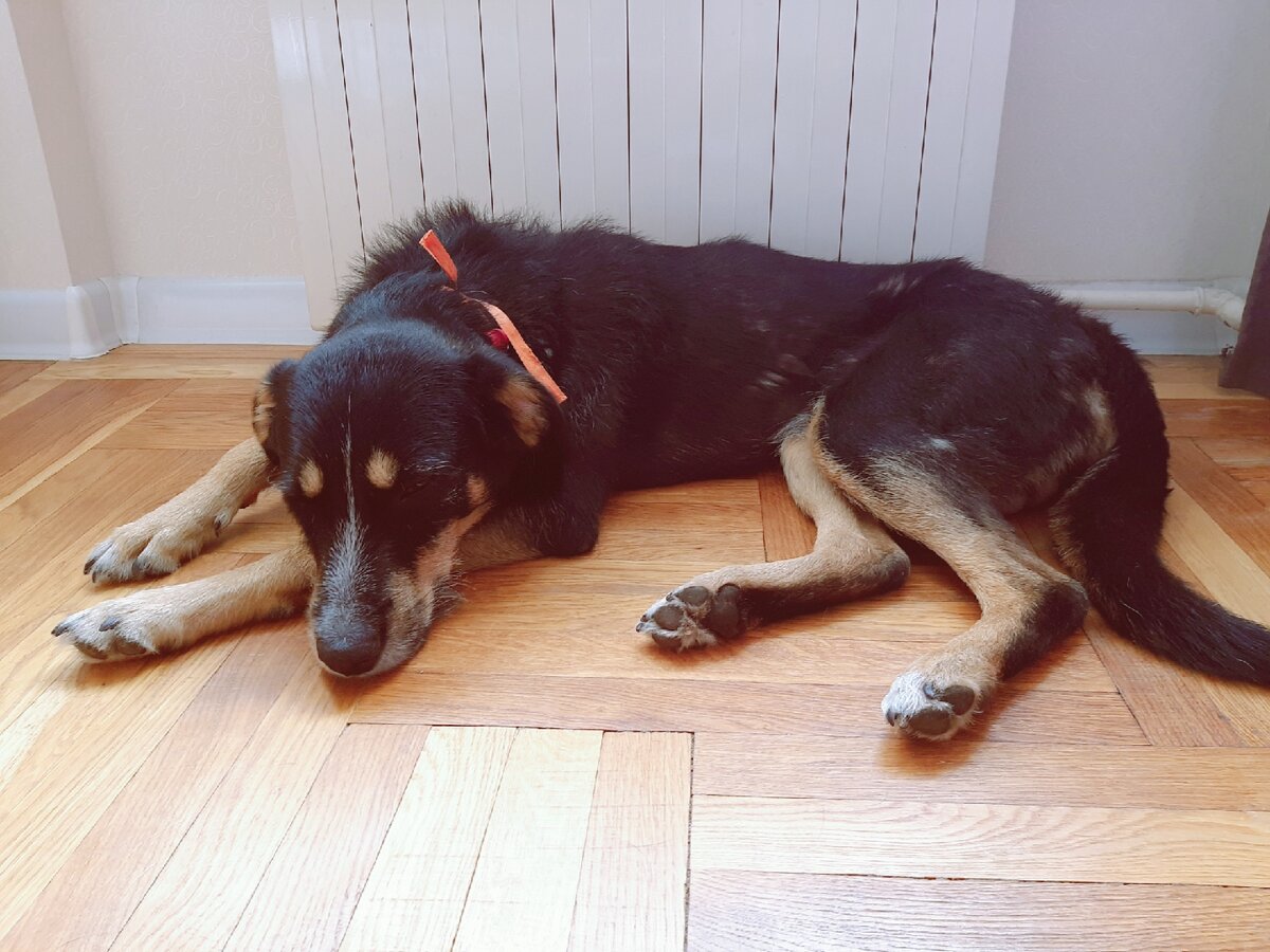 фото из личного архива