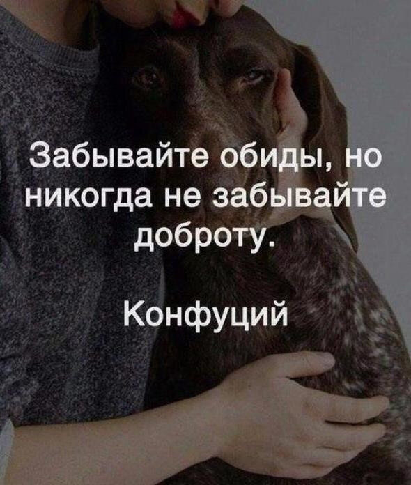 Взято из открытых источников