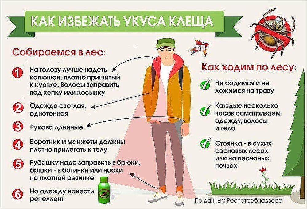 Рекомендации по защите от клещей