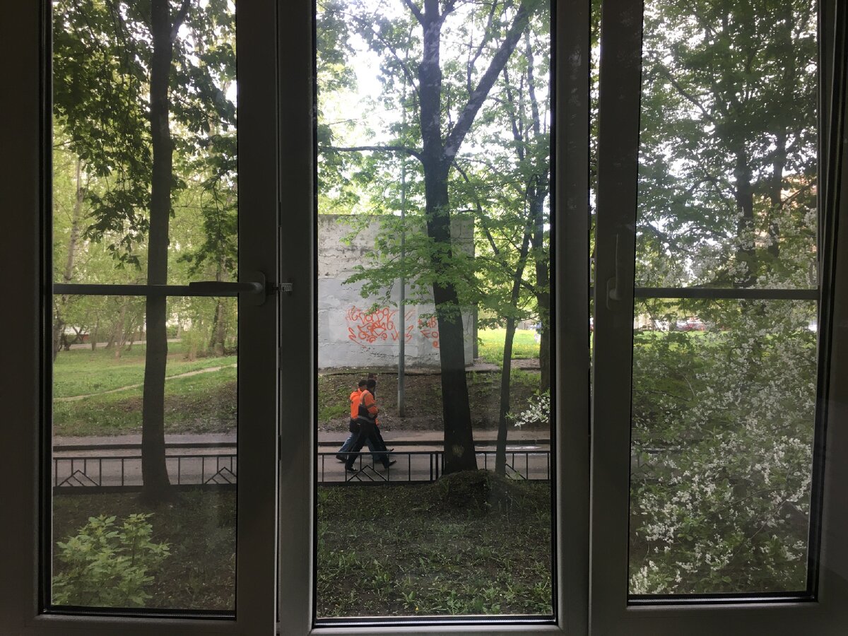 Вид из моего окна