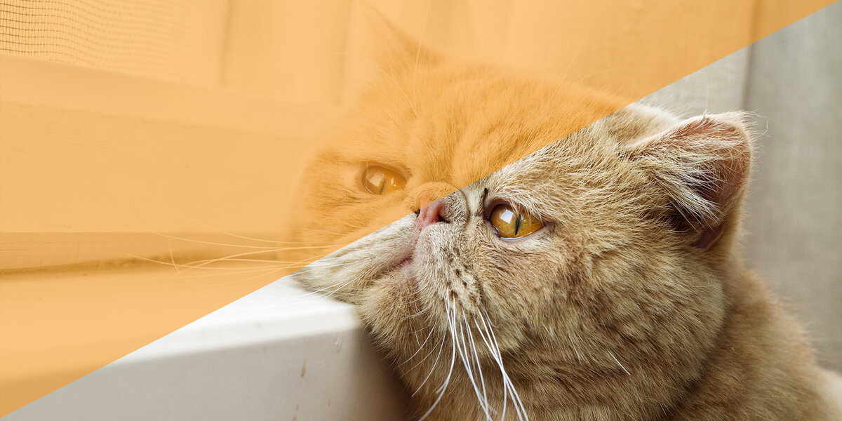 Коротко: 3 ситуации, когда НЕЛЬЗЯ начинать инвестировать деньги в акции