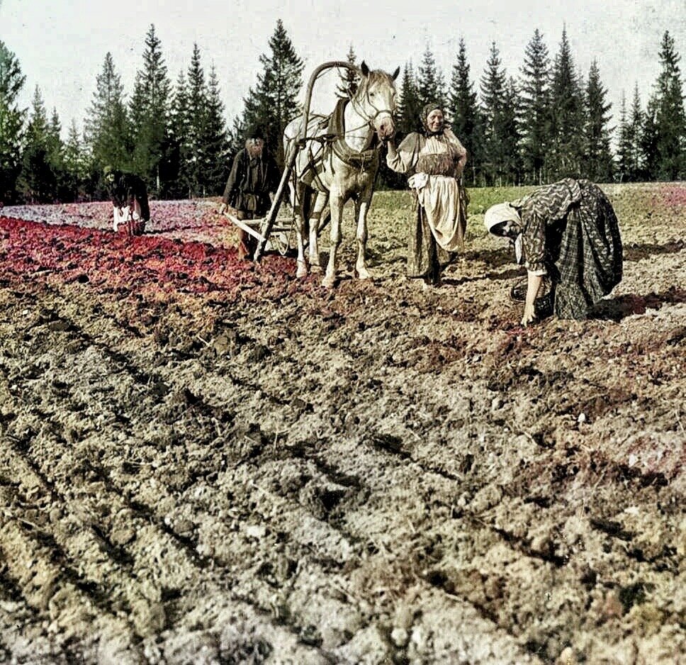 Труд в сельском хозяйстве