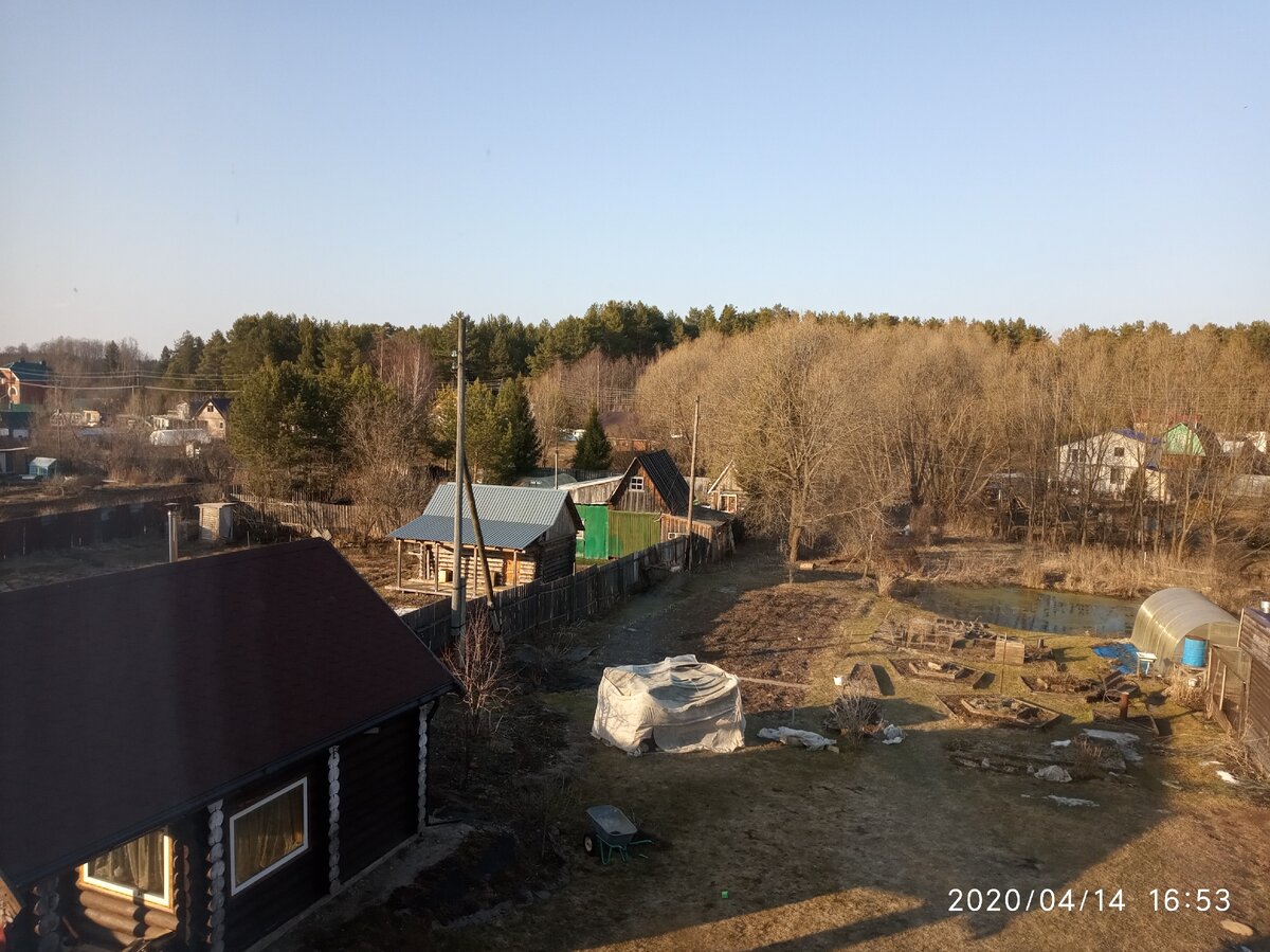 Воздушно-сухое укрытие одной из моих роз. Фото Загородные идеи.