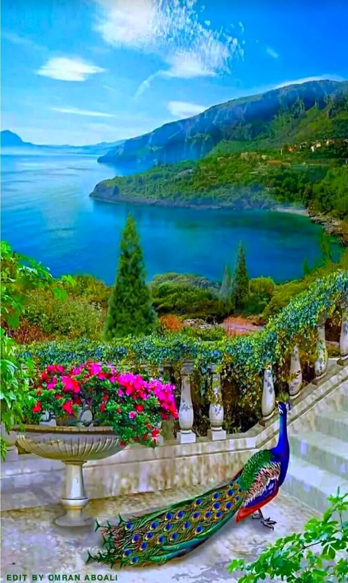 Картинка из интернета.