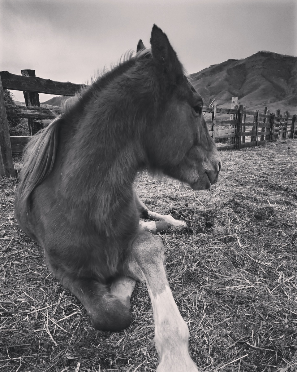 Миг отдыхает) 