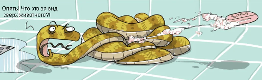 Немного терминологии без которой далеко не уедешь.