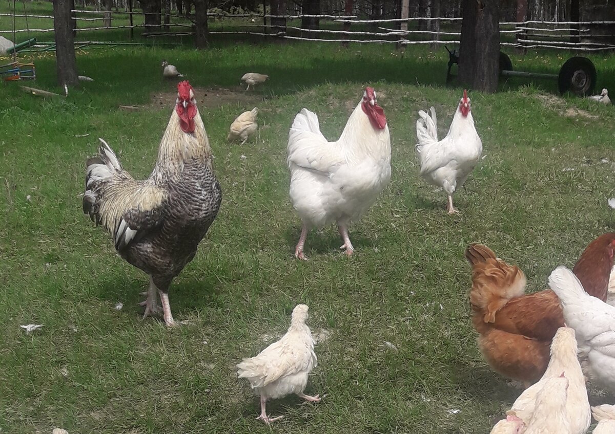 фото из личного архива