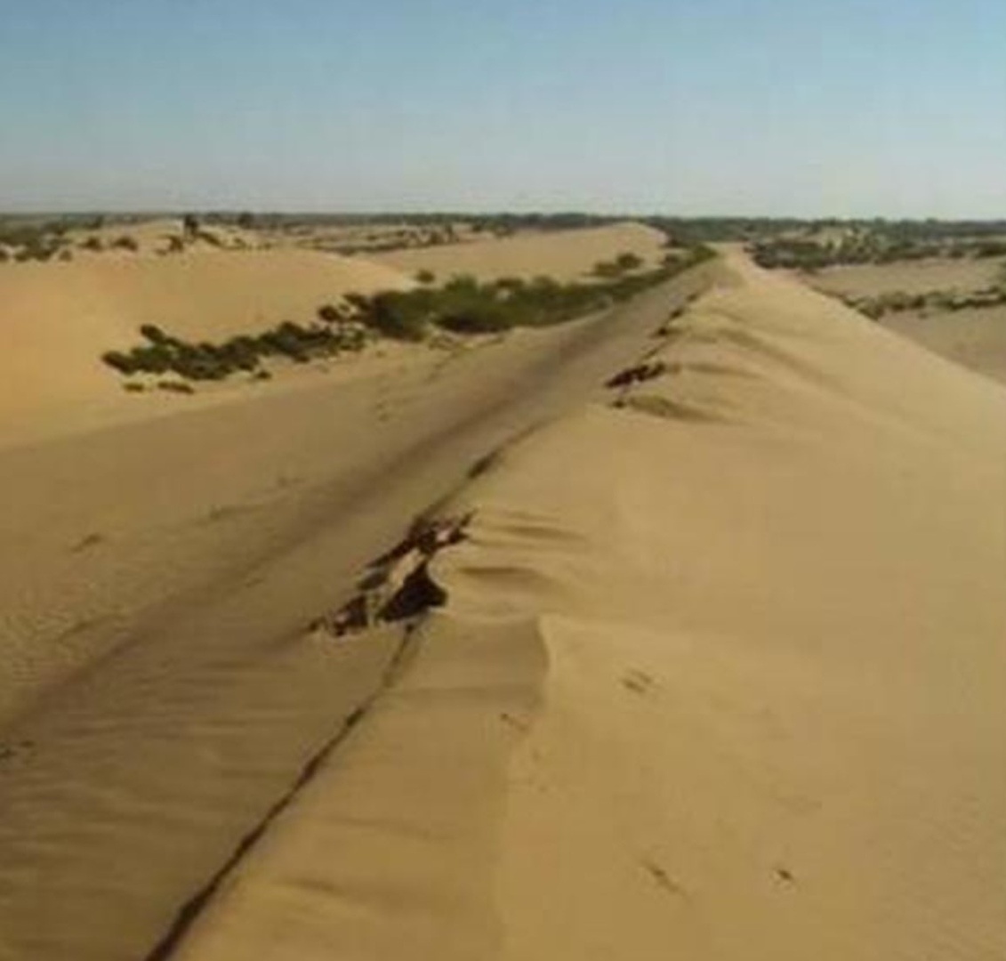 Пустыня Му-Ус до озеленения. Источник - Яндекс-картинки.