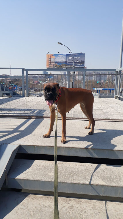 Личный архив