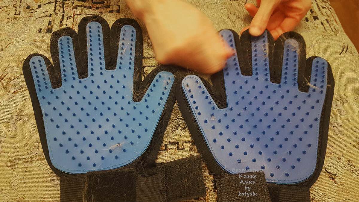 Наши перчатки.Фото из личного архива.