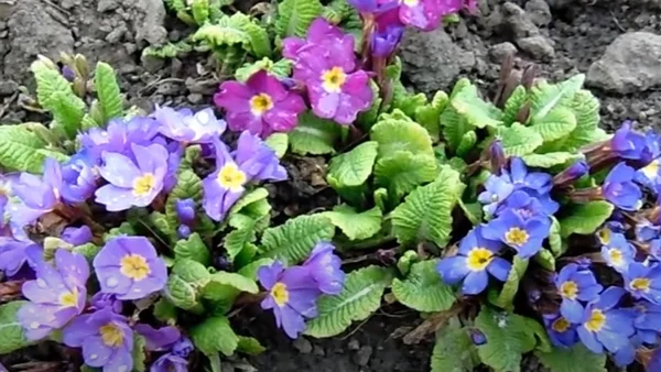 Не забывайте подписываться на канал, чтобы не пропустить новые статьи