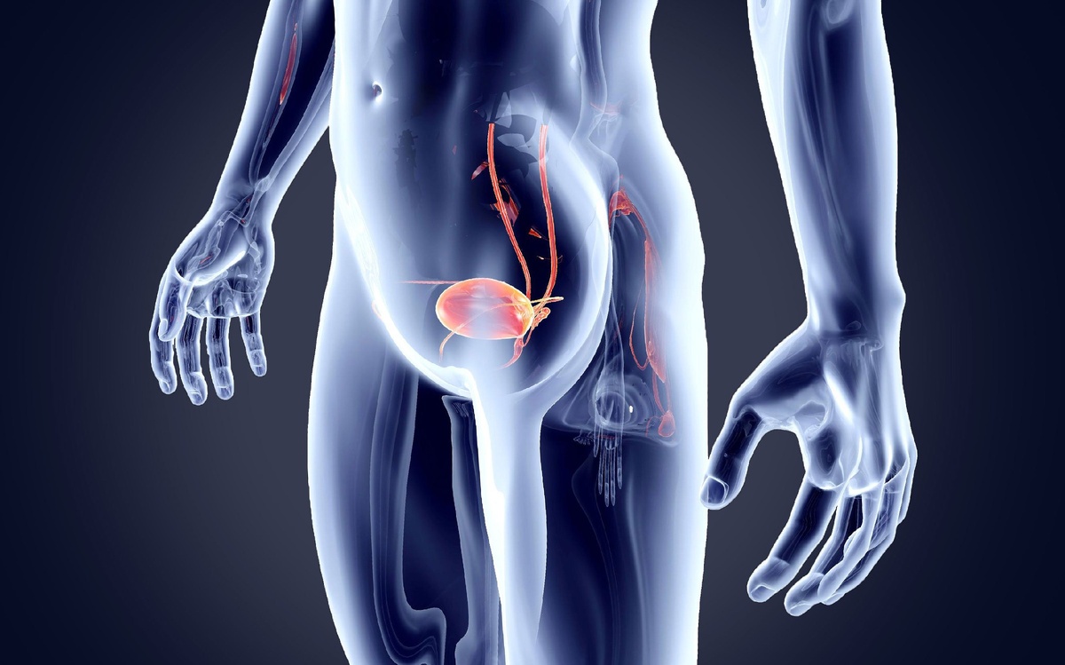 Взято из яндекс картинок. Статья из внешнего источника.