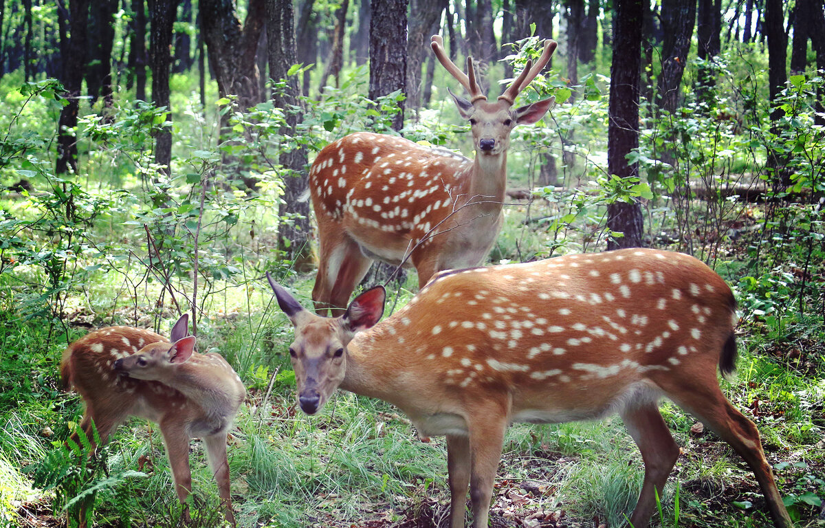 Фото: Юрий Смитюк