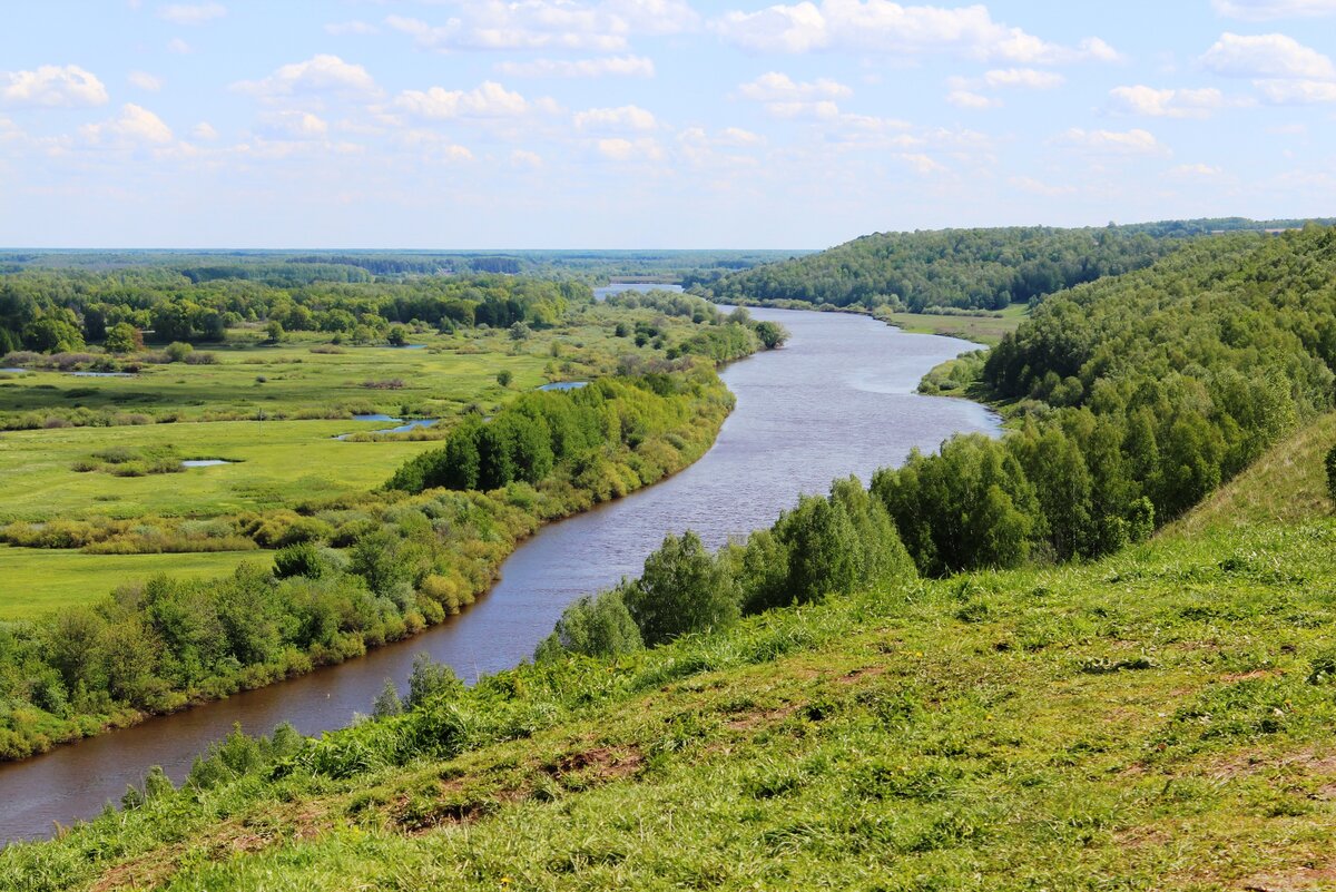 Река клязьма фото в московской области