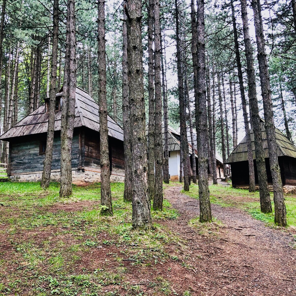 Многие дома-экспонаты стоят прямо посреди соснового леса