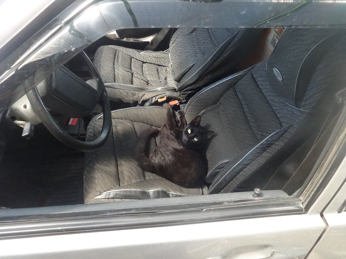 Тимошка уже большой, можно даже за руль.