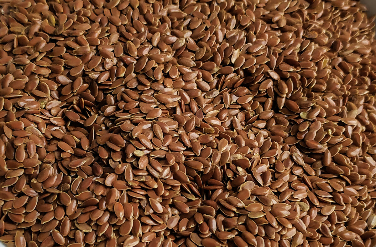 Семена льна: польза, методы употребления и противопоказания - FitoBlog