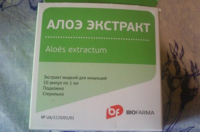 Экстракт алоэ в ампулах используют для красоты и здоровья волос