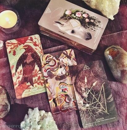 Какой мужчина думает о вас регулярно