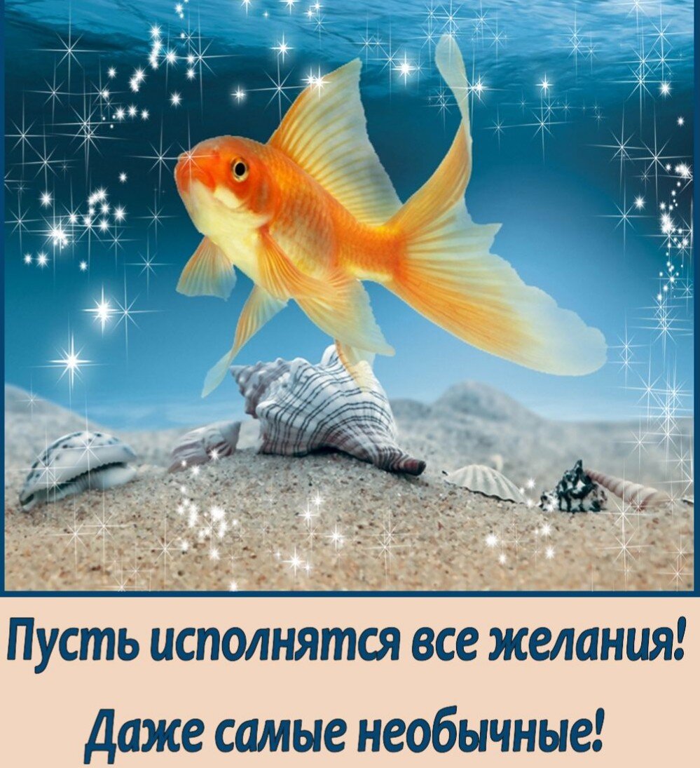 Сегодня день исполнения желаний картинки