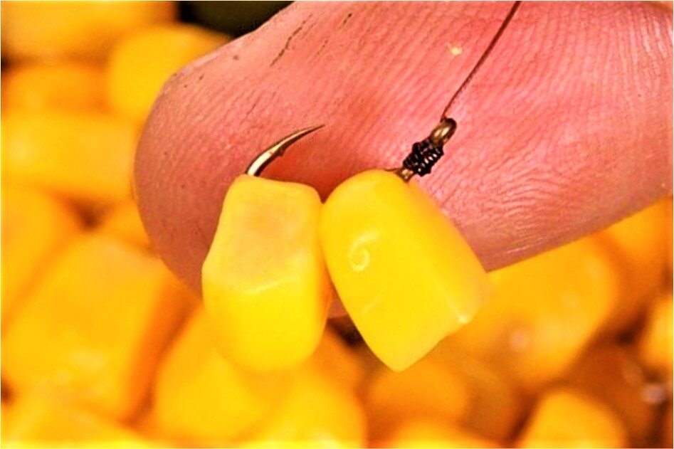 карп на кукурузу. карп на кукурузу. ловится ли карп на кукурузу. крючки на карпа. ловим карпа на кукурузу.