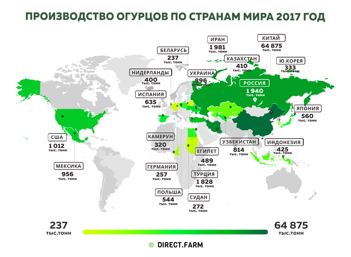 Какие страны выращивают. Страны Лидеры по производству огурцов. Производство огурцов в мире по странам. Производство огурцов по странам. Страны Лидеры по производству.