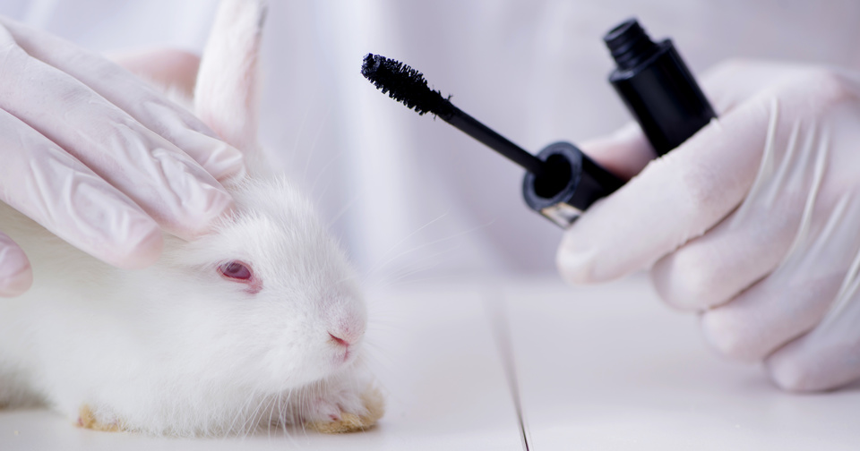 Слабонервным не смотреть