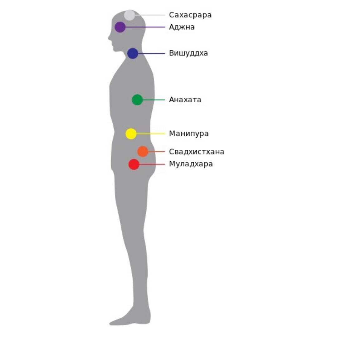 Где находится шестая. Чакры человека сбоку. Энергетические центры человека чакры. 12 Чакровая система человека схема.