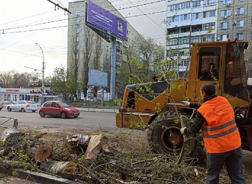 ...Задела меня статья о том, как в Саратове вырезали почти деревья в центре города. "Осваивают бюджет" по максимуму не только в Москве