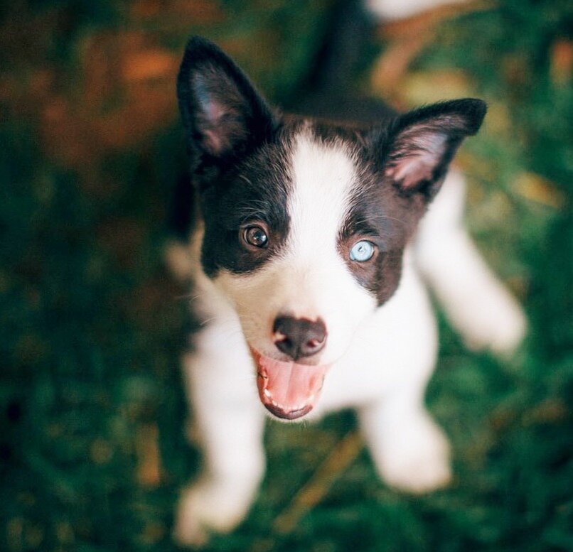 Unsplash  (by Helena Lopes)