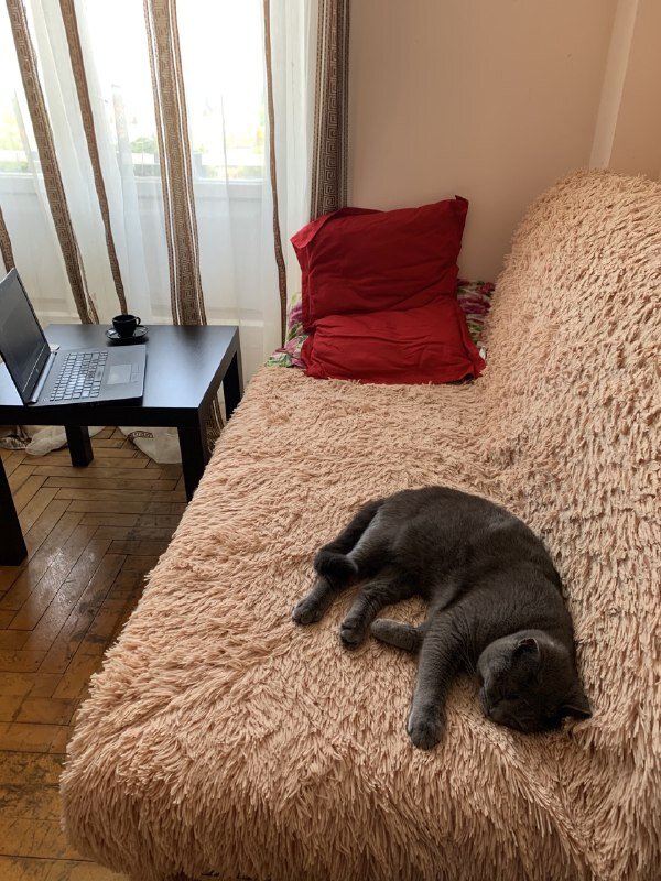 Любимый уголок в квартире