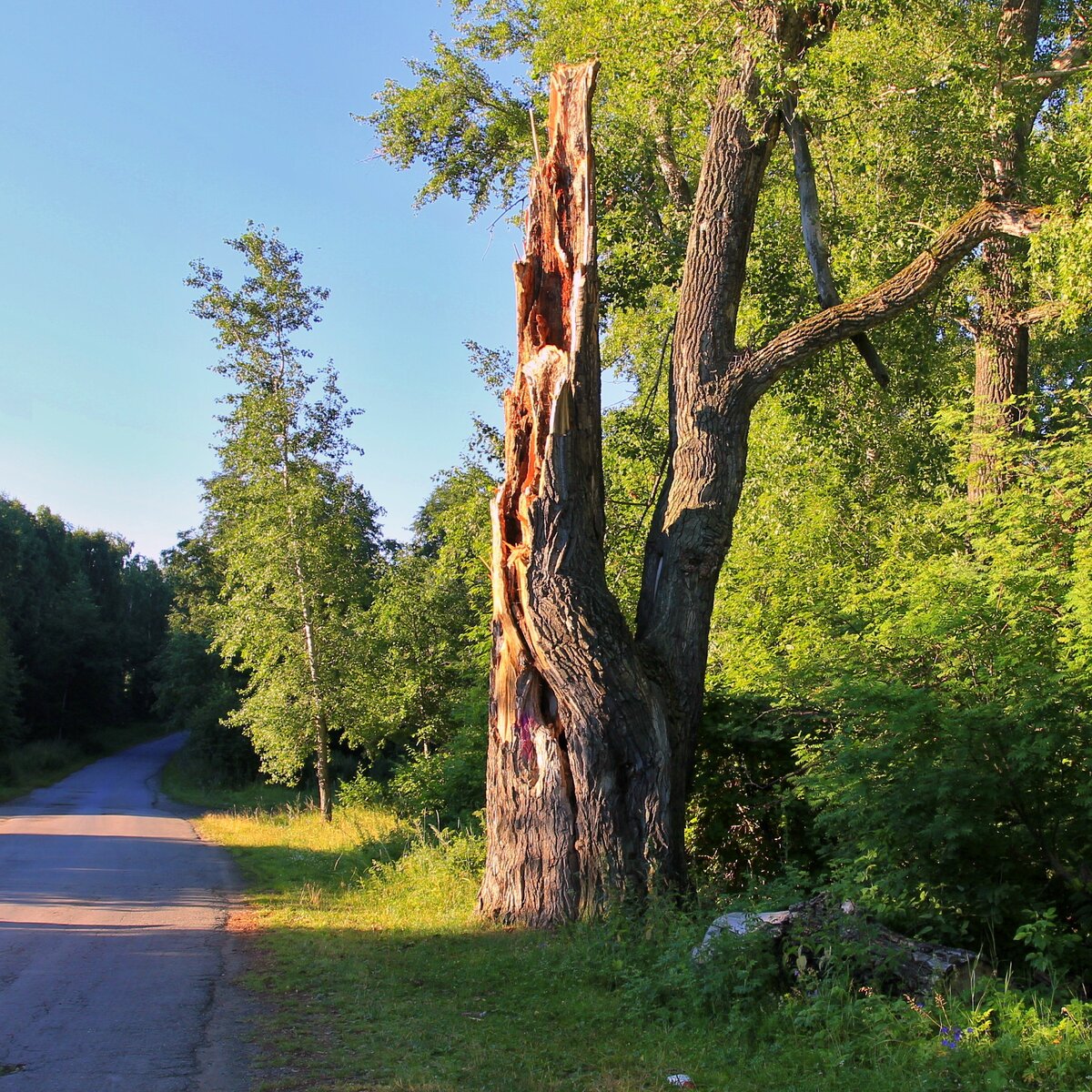 ...и в наши дни