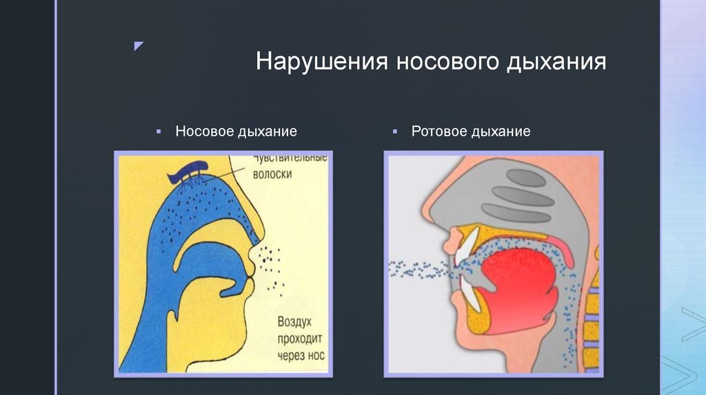 Через нос выдох через рот