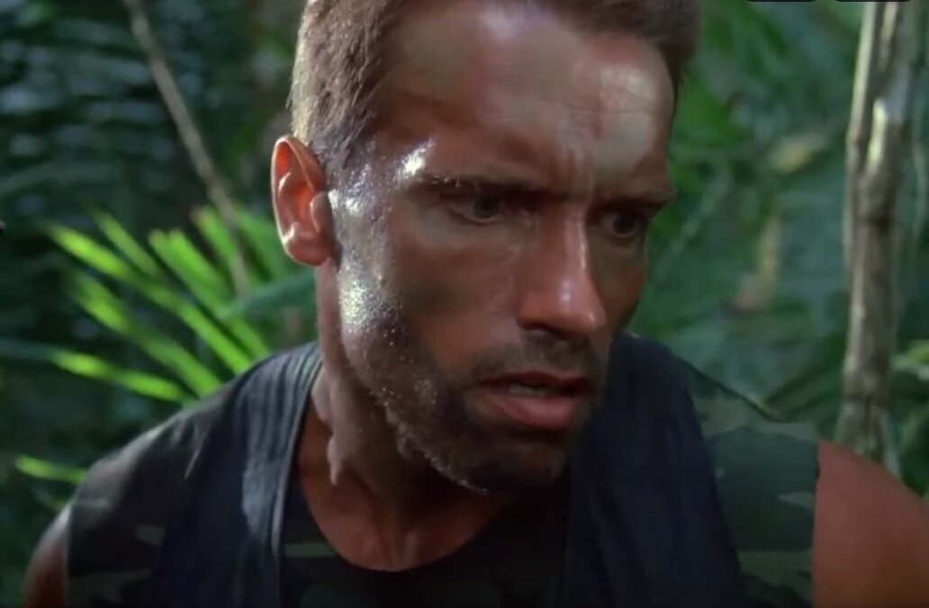 (фото: авторский снимок экрана с фильмом "Хищник"  1987 года)